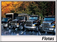 Flotas
